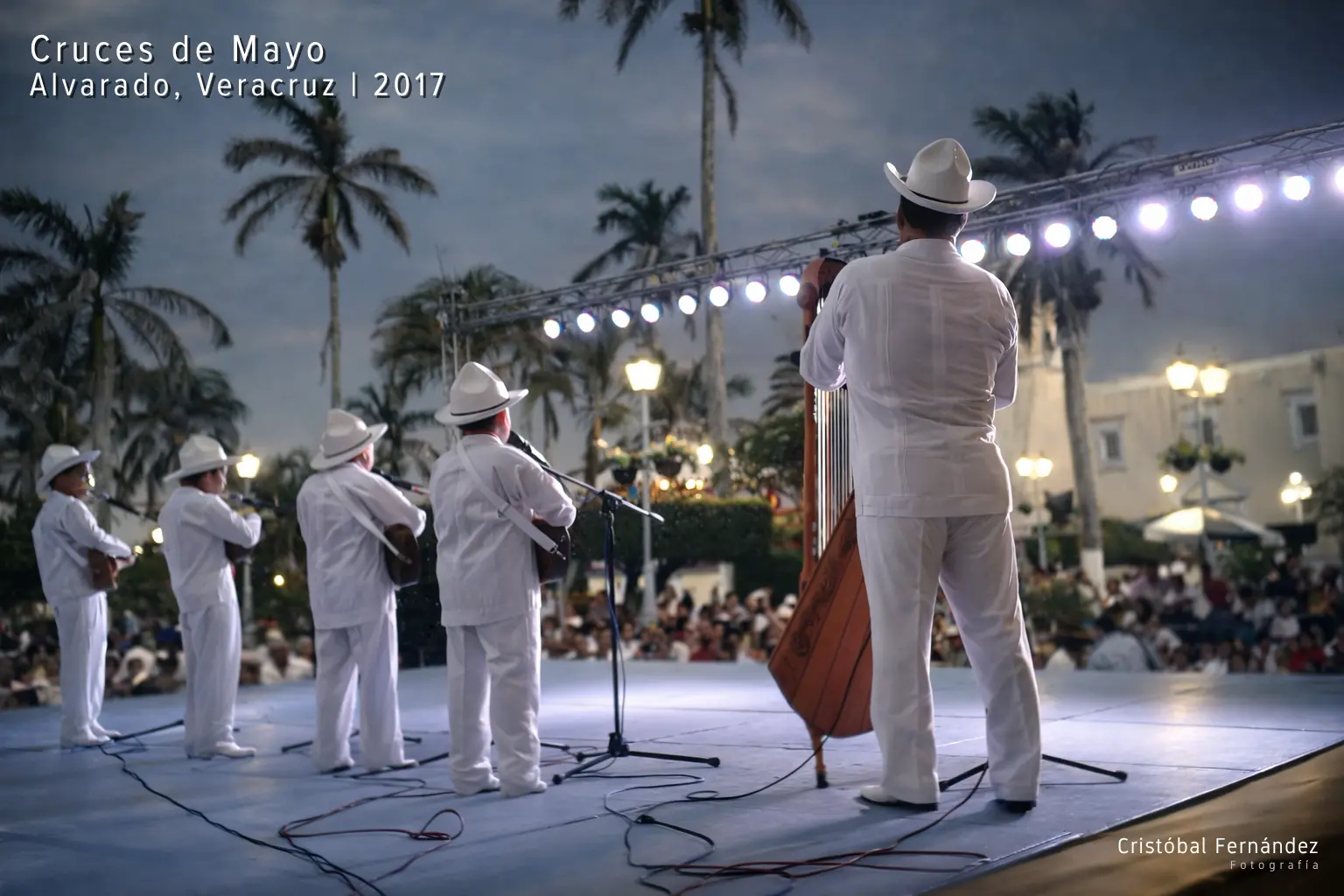 Músicos Jarochos